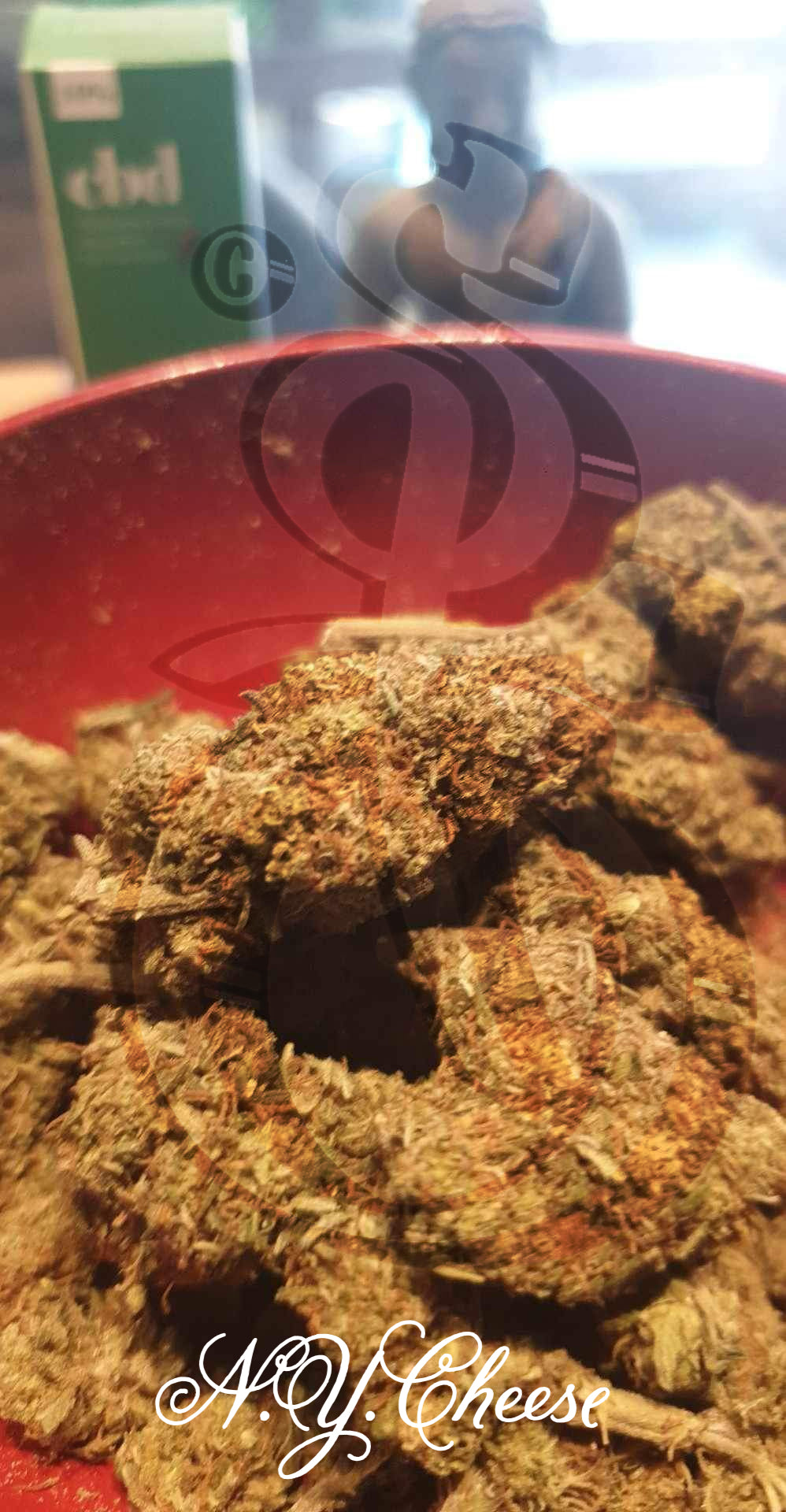 N.Y. Cheese